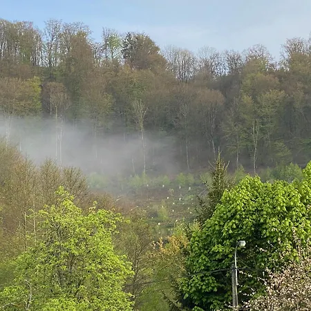 Waldblick - With Wellness In Ouren *