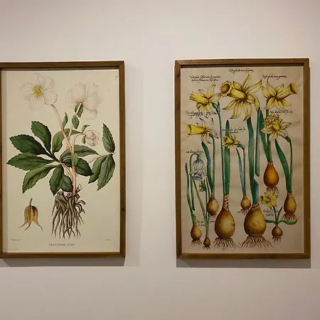 Semesterbostad Waldblick - 4-star In Ouren *