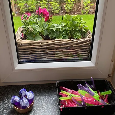 Semesterbostad Waldblick - 4-star In Ouren