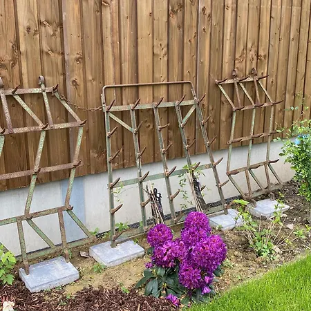 Waldblick - 4-star In Ouren Burg Reuland