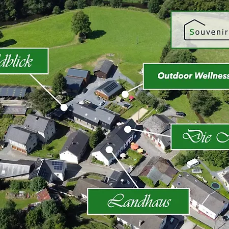 Waldblick - 4-star In Ouren Ferienhaus